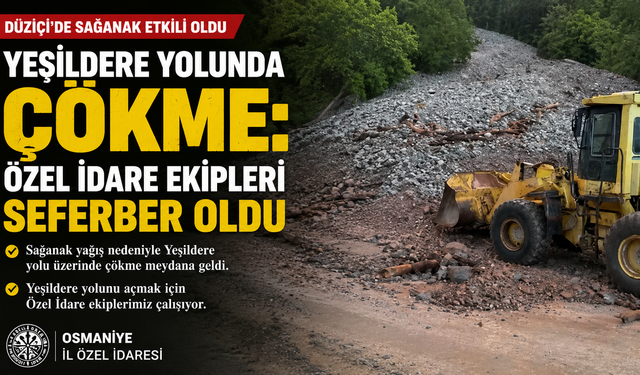 Yeşildere Yolunda Çökme: Özel İdare Ekipleri Seferber Oldu