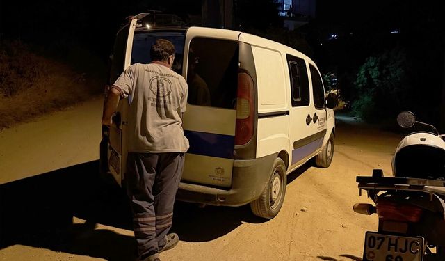 Alanya'da yaralı halde bulunan domuz yavrusu tedaviye alındı