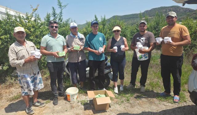 Antalya’da Nar Bahçelerinde Doğal Mücadele Çalışması