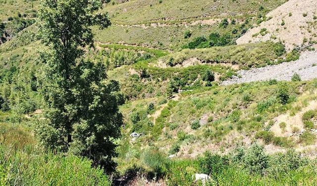 Antalya'da uçuruma yuvarlanan otomobildeki 5 kişi hayatını kaybetti