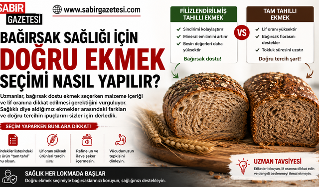 Bağırsak Sağlığı İçin Doğru Ekmek Seçimi Nasıl Yapılır?