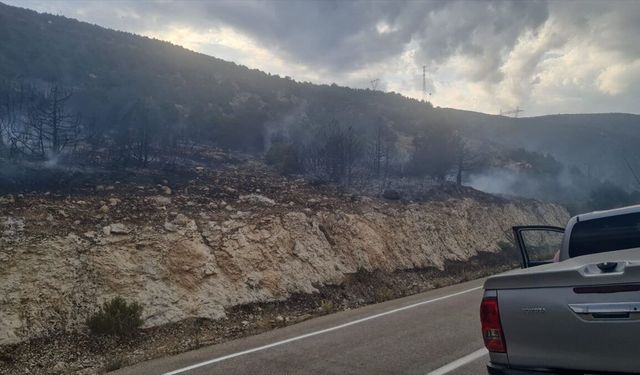 Isparta'da çıkan orman yangını kontrol altına alındı