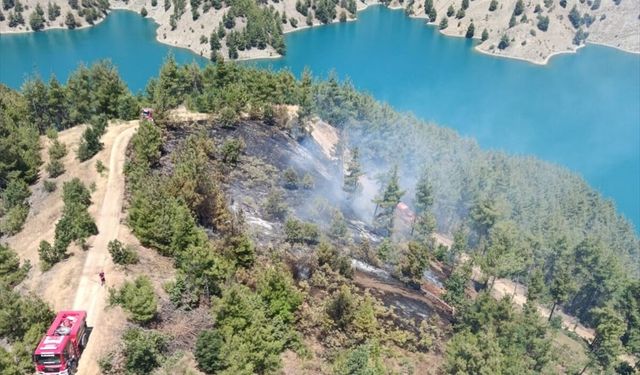 Kahramanmaraş'ta çıkan orman yangını kontrol altına alındı