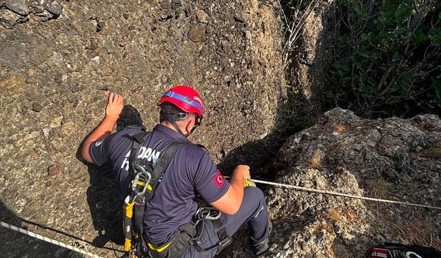 Kozan ilçesinde kayalıkta mahsur kalan keçi kurtarıldı