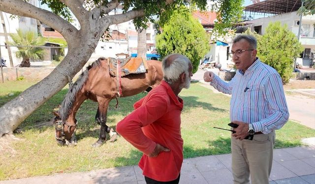 Mersin'de at arabasını çekerken bitkin düşen at korumaya alındı