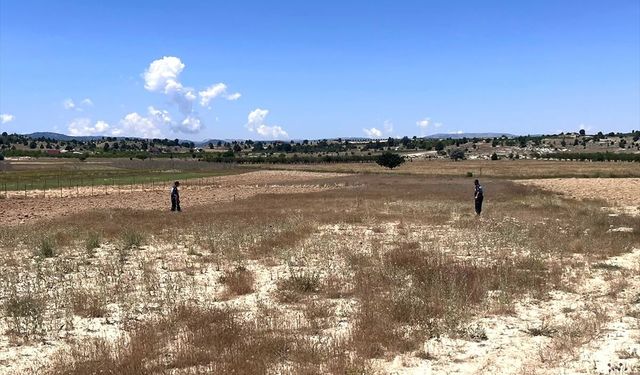Mersin'de kaybolan kadın için arama çalışması başlatıldı