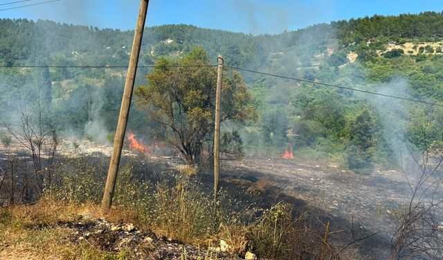 Mersin'de zirai alanda çıkan yangın kontrol altına alındı
