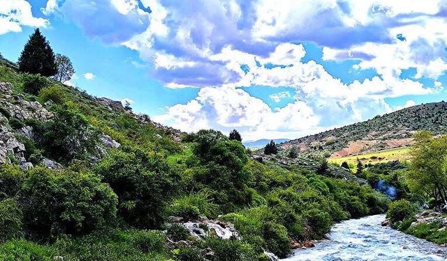 Niğde’deki Totari Çayı Doğaseverlerin Gözdesi Oldu