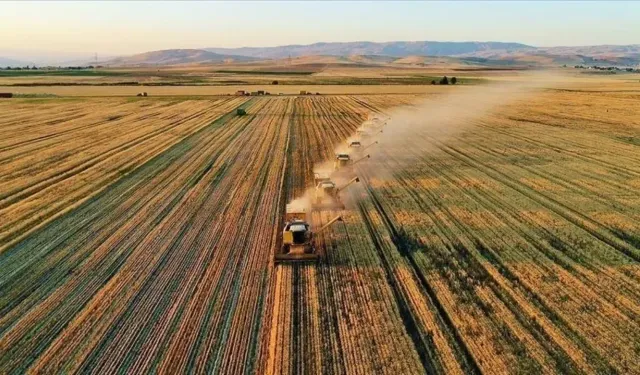 Tarımsal Destek Ödemeleri Hesaplara Yatırıldı