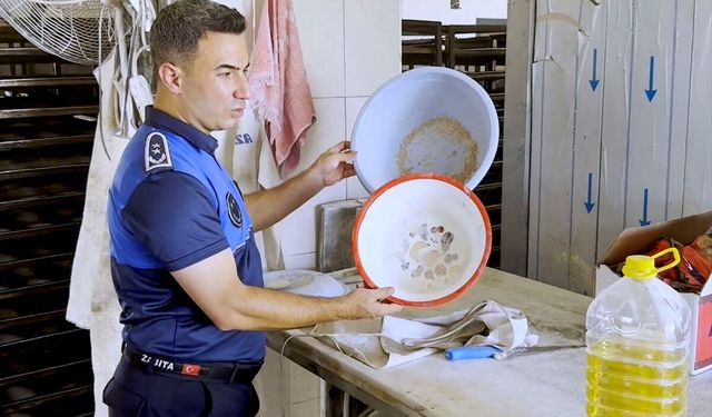 Tarsus ilçesinde yapılan denetimde haşere görülen 3 fırına ceza uygulandı