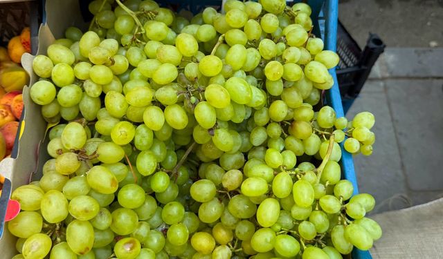 Pazarda Üzümün Kilosu 100 TL'ye Yükseldi