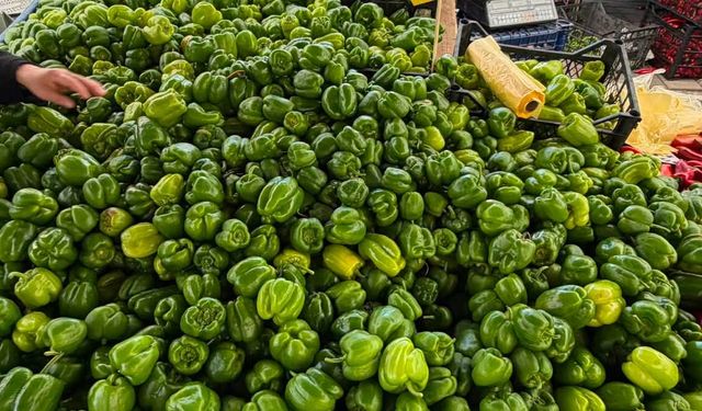 İstanbul'da Yeşil Biberin Kilosu 80 TL'ye Ulaştı