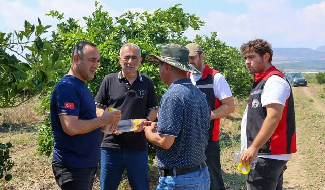 Yumurtalık'ta Zararlılara Karşı Faydalı Böcek Salındı