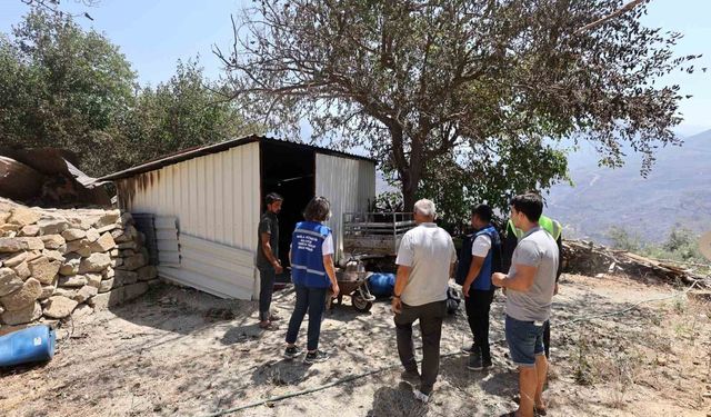 Muğla Büyükşehirden Yangınzede Çiftçilere Destek
