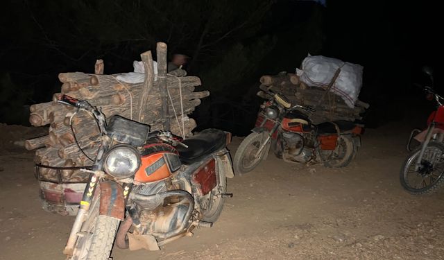 Hassa'da Usulsüz Orman Kesimine Suçüstü