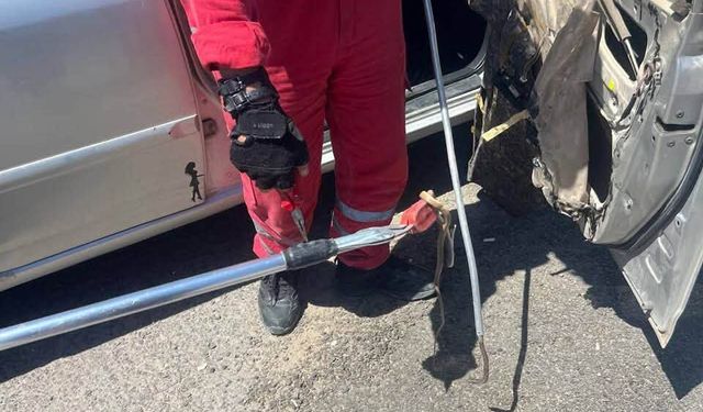 HBB İtfaiyesi Antakya ve Arsuz'da Yılanları Kurtardı