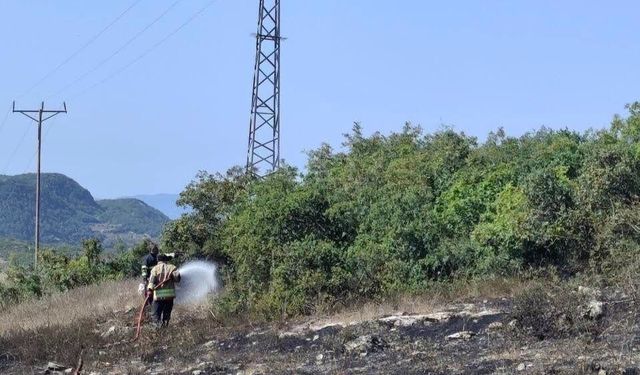 Yayladağı’nda Arazi Yangını Kısa Sürede Söndürüldü