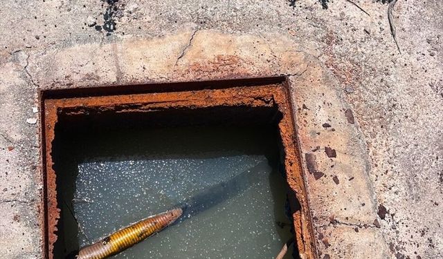 Alanya'da atık suları dereye bırakıp çevreyi kirletenler hakkında işlem yapıldı