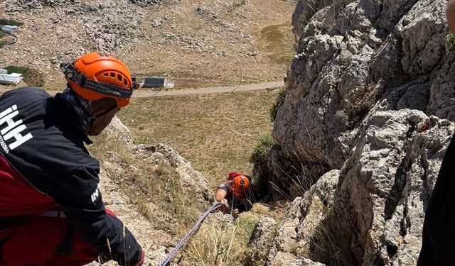 Alanya'da dağda mahsur kalan keçi kurtarıldı