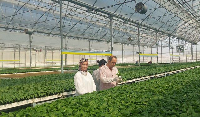 Antalya'da Tarımsal Üretime Sıkı Denetim