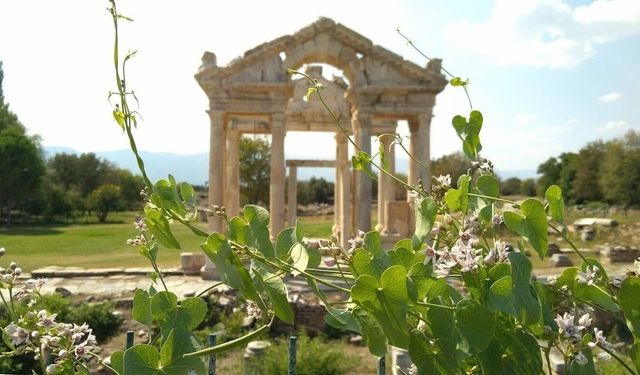 Aphrodisias’ın Binlerce Yıllık Tarihi: Antik Kentin Bilinmeyenleri