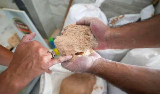 Mersin’de un fabrikasında skandal görüntü! Tonlarca ürün çöpe gitti