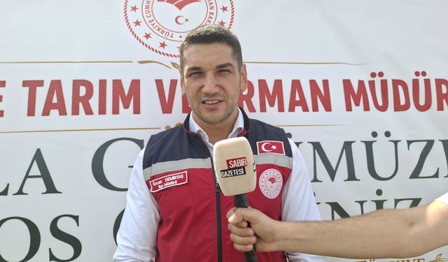 Yerli Ayçiçeği Tohumları Düziçi’nde Deneniyor