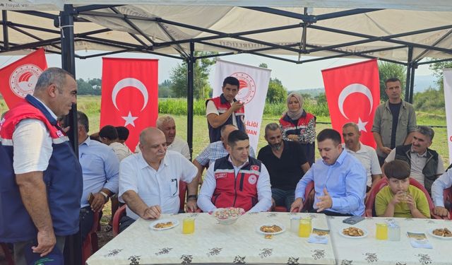 Düziçi’nde Ayçiçeği Hasadı “Bismillah”la Başladı