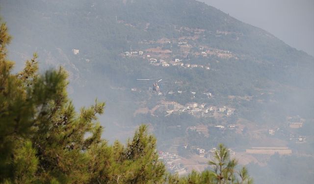 GÜNCELLEME - Alanya'da çıkan orman yangını kontrol altına alındı