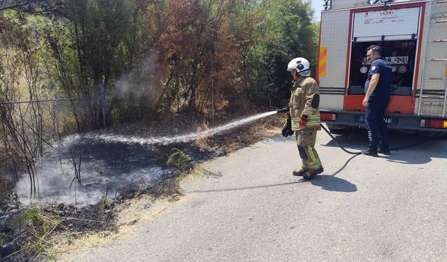 Hatay’da Dört İlçede Çıkan Yangınlar Söndürüldü