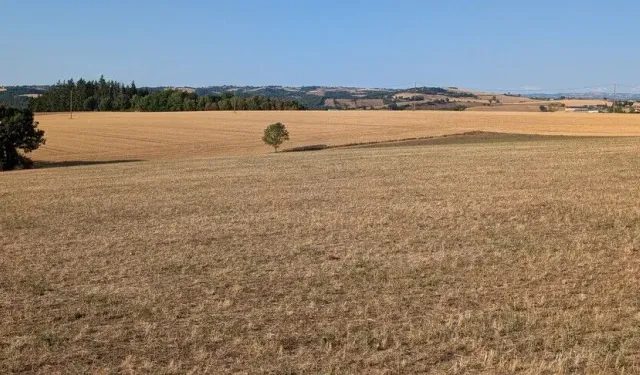 Kuraklık Fransa’nın Yüzde 85’ini Etkisi Altına Aldı