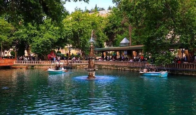 Şanlıurfa Aynzeliha Gölü Ziyaretçilerini Büyülüyor