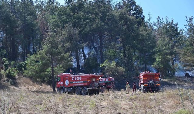 Milletvekili  Gülsoy'dan Yarpuz'a Geçmiş Olsun Mesajı