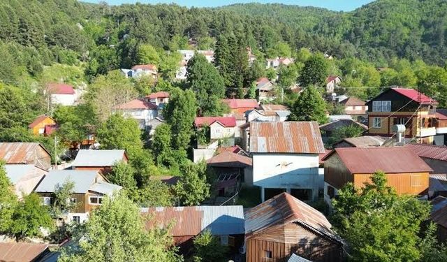 Osmaniye'nin Serin Cenneti Zorkun Yaylası Yaz Sıcağında Nefes Aldırıyor