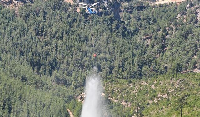 Adana'da çıkan orman yangını kontrol altına alındı