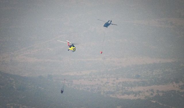 Adana'daki orman yangınına müdahale sürüyor