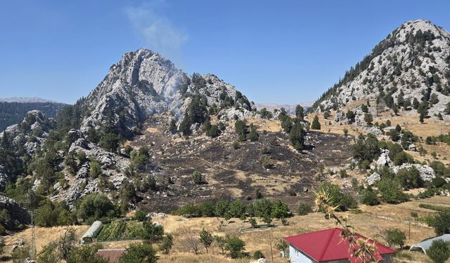 Alanya'da çıkan zirai alan yangını kontrol altına alındı