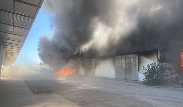 Antalya'da ambalaj deposunda yangın çıktı