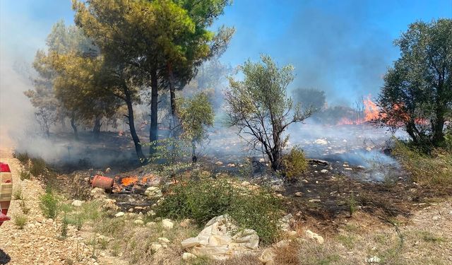 Antalya'da zirai alanda çıkan yangın söndürüldü