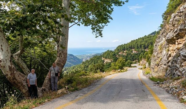 Çataloluk’ta İki Çınar, İki Usta Şair ve Mitisin Yolu