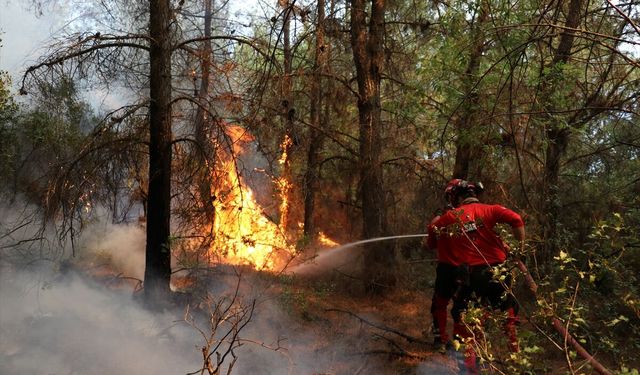 Deprem sonrası gönüllü olan çift orman yangınında omuz omuza mücadele ediyor