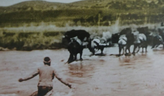 1905’ten günümüze ulaşan tarihi kare! Osmaniyeli Yörüklerin yayla yolculuğu