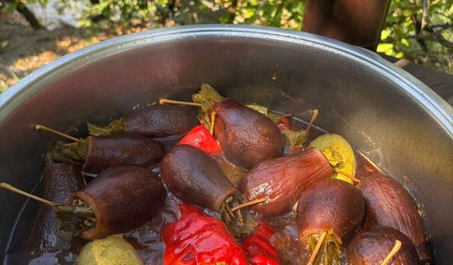 Hatay Antakya'da geleneksel dolma sofraları süslüyor