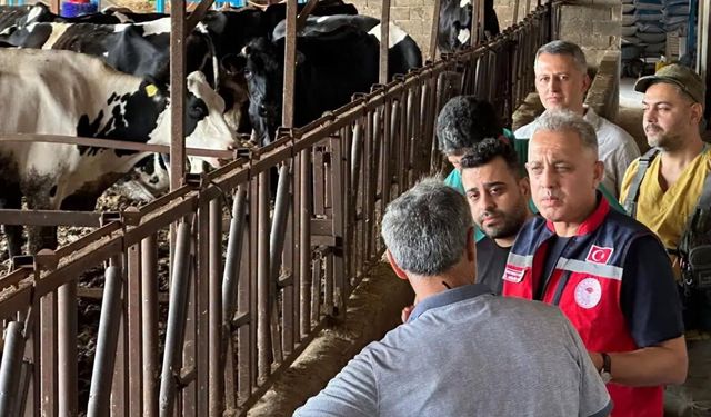 Hatay Tarım Ve Orman Müdürlüğünden Altınözü’nde Hayvancılık İşletmesine Ziyaret