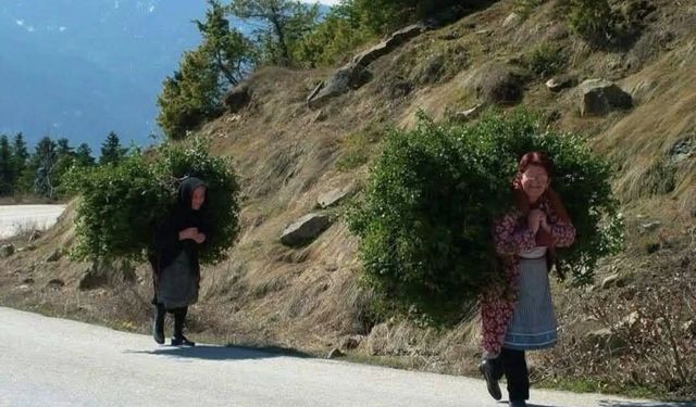 Osmaniye Kadirli’nin Eski Günleri Hafızalarda Yaşıyor?