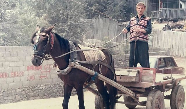 Osmaniye’de At Arabalarının Unutulmaz İsmi “Sarı”
