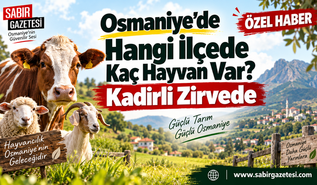 Osmaniye’de Hangi İlçede Kaç Hayvan Var? Kadirli Zirvede