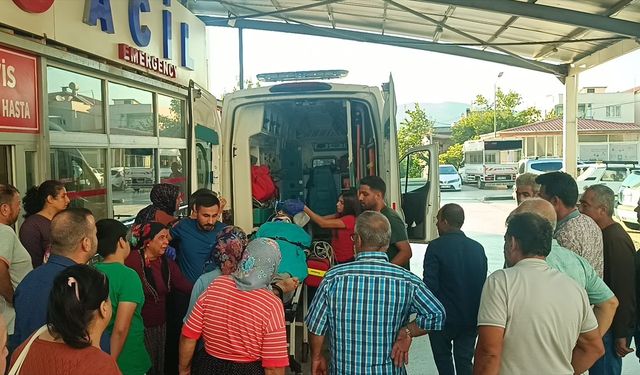 Adana'da kestiği ağaç üzerine devrilen kişi ağır yaralandı