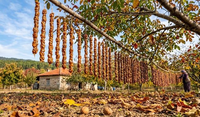 Cevizli Pekmez Sucuğu Yapımı Devam Ediyor