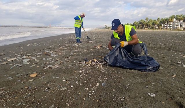 Dörtyol, Erzin ve Payas Sahillerinde Temizlik Seferberliği